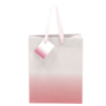 Ombre Medium Valentine's Day Gift Bag