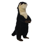 Safari Meerkat - Regular
