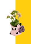 Plant Koozie - Hippo Pink