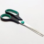 Scissors Stainless Steel 16CM Assorted
