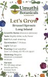 Umuthi Brussel Sprouts Long Island Growing Seeds