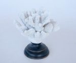 White Coral On Stand 19X18X12CM
