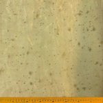 Caviar ORGANZA-3