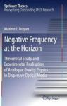 Negative Frequency At The Horizon - Theoretical Study And Experimental Realisation Of Analogue Gravity Physics In Dispersive Opt