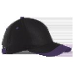 6 Panel Sway Cap