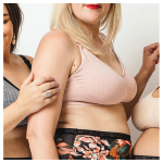 Flawless Nursing Bra A-d Cups - Medium 34A-D Blush