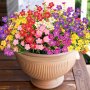 12 Bundles Artificial Daisy Flowers - Uv Resistant Plastic Outdoor Faux Plants For Garden Porch Window Box Home Decor Multicolor - Anniversary Indoor/outdoor Plastic