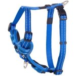 Rogz Utility Control XL Dog Harness - Blue Reflective Waggs Online Pet Shop