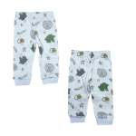 Unisex 2 Piece Leggings Set In Mint - Mint Newborn