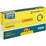 Probiotic 10 Chews