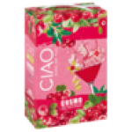 Cosmo Spirit Cooler Box 2L