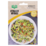 Ayres Daikon Radish Sprouts 2G