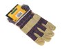Cotton With Leather Palm Glove Pack Of 2