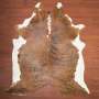 A Grade Cow Hide 362 Tricolour XL - Extra Large / Tricolour / Brindle