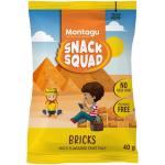 Snack Squad Fruit Bricks