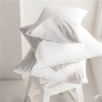 Feather Scatter Cushion Inner 60X60