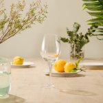Vino White Wine Glasses Set Of 6