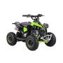 110CC 4 Stroke Renegade Mini Quad Bike - Electric Start - Green