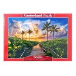 3000 Pce Castorland Colourful Sunrise In Miami Usa