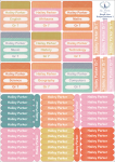 School Labels : Single Line - Subject Labels Girl Tones