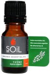 Thyme Essential Oil