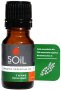 Thyme Essential Oil