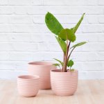 Poodle Planter - Millennial Pink - 16CM
