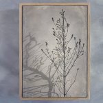 Shadowplay 1 Art Print - 100CM X 150CM Framed Canvas With Natural Wood Frame