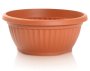 Pot Plastic Pot Terracotta Flat Prosperplast 20CM