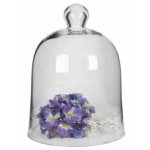 Bell Dome Med 30X21 Cm