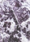 Purple Earth Art Print - Matte Fine Art Print No Frame A3