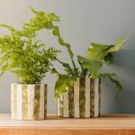 Planter Natural Bold Stripe Forest - Medium 17.5X15.5CM