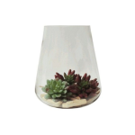 Bulb Vase 23CM H X 13CM W