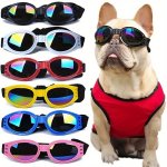 Yiyuanpet Dog Glasses Uv Protection Wind dust smog Resistant Adjustable Strap Pet Eyewear For Small To Medium Breeds