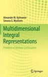 Multidimensional Integral Representations - Problems Of Analytic Continuation Hardcover 1ST Ed. 2015