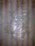 Corded Bridal Tulle Embroidered Fancy