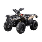 Linhai Rustler 320 Promax Efi 4 4