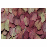 Dark Mauve & Green Fleece Blanket