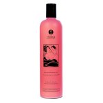 Shunga - Shower Gel Exotic Fruits 500 Ml