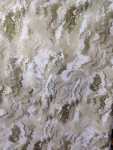 Foil Duchess Satin Printed