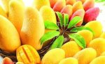 Mango Indian Special Concentrate - 100ML