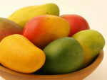 Panaj Mango Concentrate - 10ML