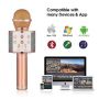 Fervour Wireless Portable Bluetooth Karaoke Microphone