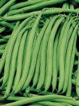 Beans Malelane Bush Bean Seed - 200 G Raw Seed