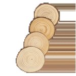 Yantic Coaster Set