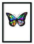 Decor Print Colourful Butterfly - Black Framed A3