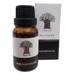 Essential Oil 15ML Forest Fern