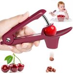 Leyespot Cherry Pitter Tool Stainless Steel Heavy Duty Pitting Tool Portable Cherries Chomper Corer Stoner Seed Machine With Spa