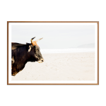 Nguni Bull II Art Print - A4