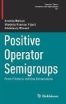 Positive Operator Semigroups - From Finite To Infinite Dimensions Hardcover 1ST Ed. 2017